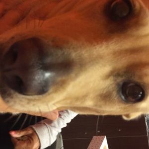 Meet your Posher, Esther